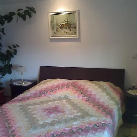 Apartment Vila Irina